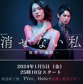 无法消除的“我”―复仇的连锁―：一场精心策划的复仇游戏