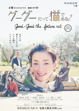《咕咕是一只猫第二季》：治愈系猫咪的暖心回归