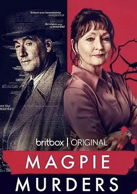 《喜鹊谋杀案》：悬疑反转下的爱与真相，经典致敬之作