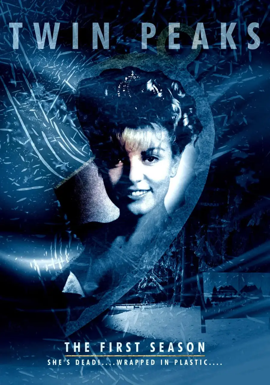 《双峰 第一季》：迷雾小镇暗藏惊天秘密，大卫·林奇的悬疑经典等你来解谜！