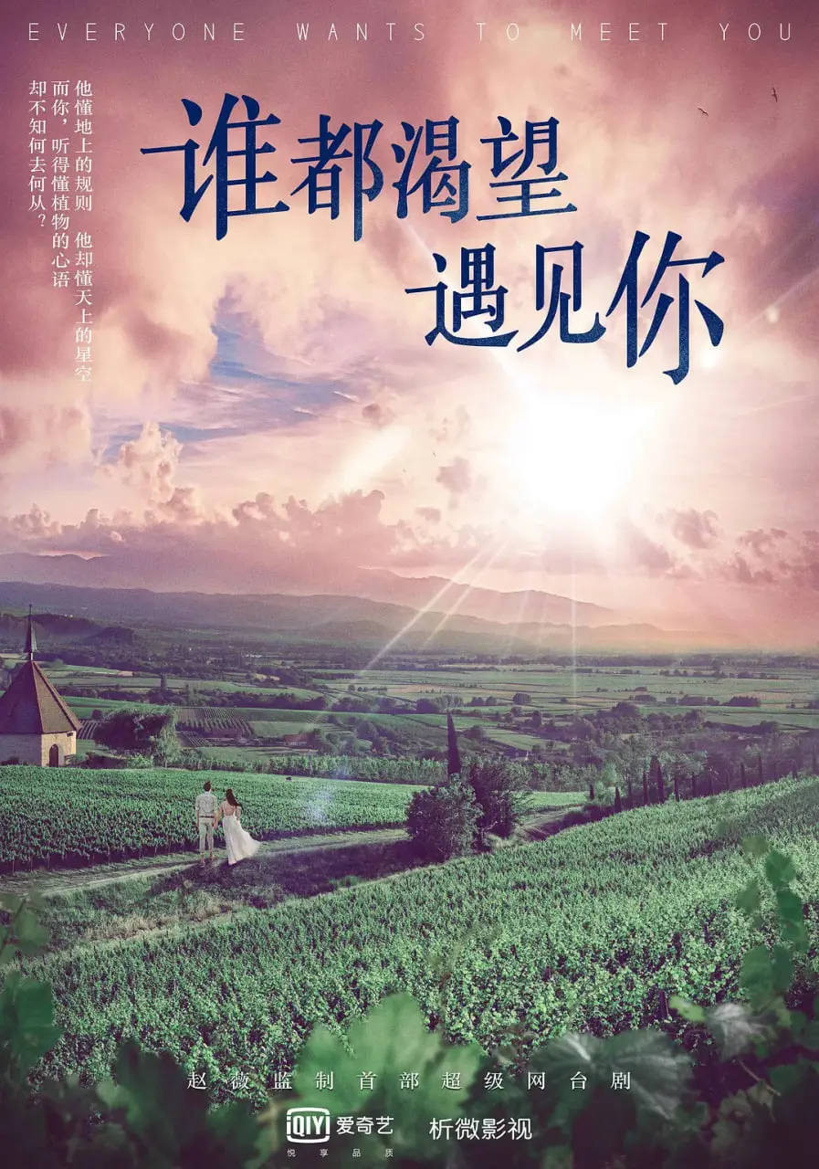 《谁都渴望遇见你》：一部高颜值的中法浪漫田园诗，治愈你的都市疲惫！